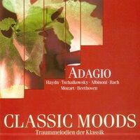 Classic Moods - Albinoni, T.G. / Handel, G.F. / Marcello, A. / Vivaldi, A. / Bach, J.S. / Mozart, W.A. / Beethoven, L. Van / Haydn, F.J.