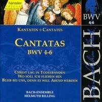 Bach, J.S.: Cantatas, Bwv 4-6