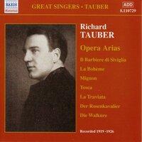 Tauber, Richard: Opera Arias (1919-1926)