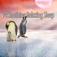 74 Soothing Relaxing Sleep