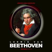 Ludwing Van Beethoven. Orquesta Lírica Barcelona. Sinfonías 1, 2 Y 3