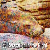 58 Relaxation in the Night