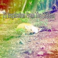 73 Inspiration from the Dreams
