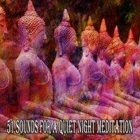 51 Sounds for a Quiet Night Meditation