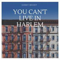 You Can't Live in Harlem