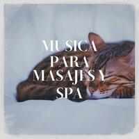 Música para Masajes y Spa