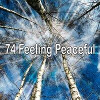 74 Feeling Peaceful