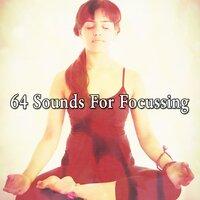 64 Sounds for Focussing