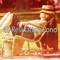 45 Relaxation Pond