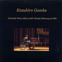 Fantastic Piano Album with Vintage Steinway of 1887