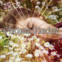 67 The Sounds of Sanctuary