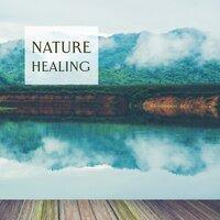 Nature Healing