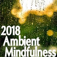 2018 Ambient Mindfulness Meditation Sounds from Nature