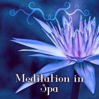 Meditation in Spa – New Relaxation Music Relax, Spa, Massage, Echoes of Nature, Music for Healing, Massage Music