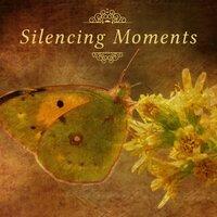 Silencing Moments – Relaxation Melodies for Listening, Chillout, Haydn, Piano Music