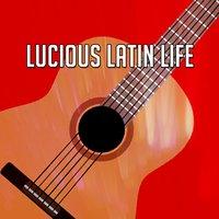 Lucious Latin Life