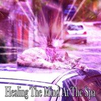 Healing The Mind At The Spa
