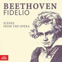 Beethoven: Fidelio. Scenes From The Opera