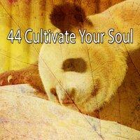 44 Cultivate Your Soul