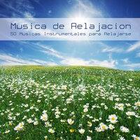 Musica de Relajacion - 50 Musicas Instrumentales para Relajarse y Descansarse Profundamente, Musica de Fundo para Dormir Suavemente