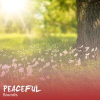 #10 Peaceful Sounds for Calming Yoga Workout