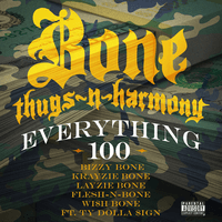 Everything 100 - Single