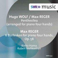 Wolf & Reger: Works for Piano 4 Hands