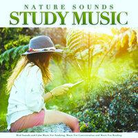 Nature Sounds Study Music: Bird Sounds and Calm Music For Studying, Music For Concentration and Music For Reading