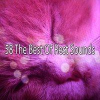 58 The Best Of Rest Sounds