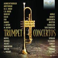 Trumpet Concerto in A-Flat Major