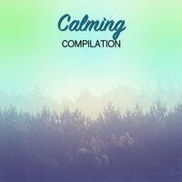 #15 Calming Compilation for Relaxing and Curing Insomnia