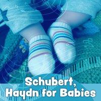 Schubert, Haydn for Babies – Creative Toddler, Learning for Children, Growing Brain