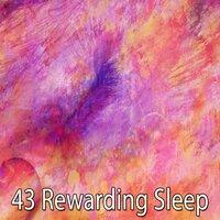 43 Rewarding Sleep