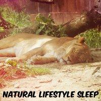 Natural Lifestyle Sleep