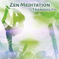 Zen Meditation Tranquility – Nature Sounds for Deep Meditation, Calm Sleep Music