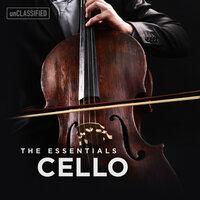 Cello Sonata No. 1: I. Largo