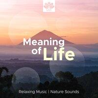 Meaning of Life: Relaxing Music, Nature Sounds, So Soft Soothing Songs for Deep Meditation and Relaxation