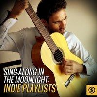 Sing - Along in the Moonlight: Indie Playlists