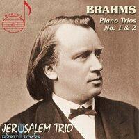 Brahms: Piano Trio Nos. 1 & 2