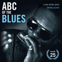 Abc of the Blues Vol. 25