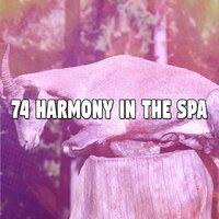 74 Harmony in the Spa