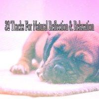 32 Tracks For Natural Reflection & Relaxation