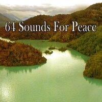 64 Sounds for Peace