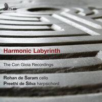 Harmonic Labyrinth