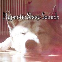 Hypnotic Sleep Sounds