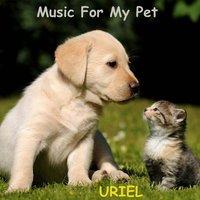 Music For My Pet