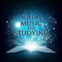 Calm Studying Music 2015