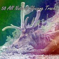 58 All Natural Sleeping Tracks