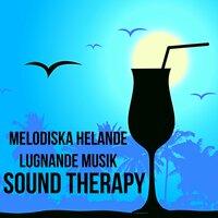 Sound Therapy - Melodiska Helande Lugnande Musik med Natur Instrumental Piano Bar Lounge Chill Ljud