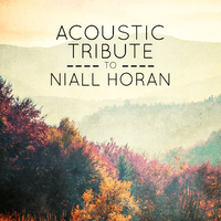 Acoustic Tribute to Niall Horan